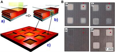 Sol-Gel Thin Film Processing for Integrated Waveguide Sensors